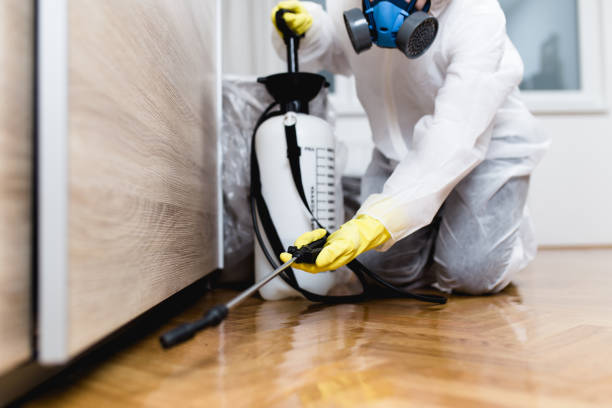 Trusted Kulpmont, PA Pest Control Experts