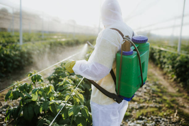 Best Residential Pest Control  in Kulpmont, PA